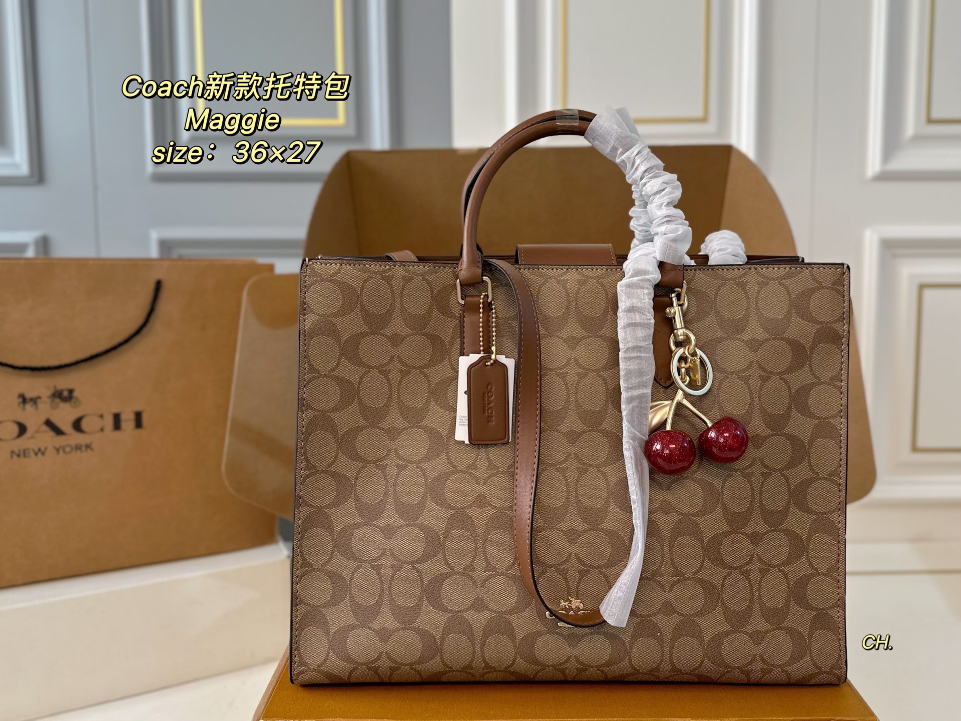 coach bag 121